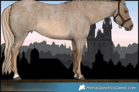Horse Color:Chocolate Palomino Roan