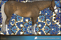 Horse Color:White Spotted Silver Buckskin 