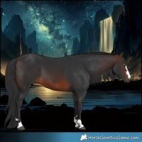 Horse Color:Brown 