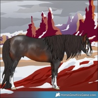 Horse Color:Brown 