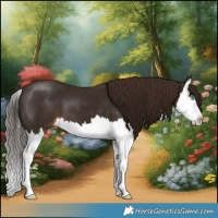 Horse Color:Liver Chestnut Splash