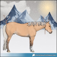 Horse Color:Silver Bay Dun 
