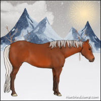 Horse Color:Silver Bay 