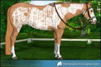 Horse Color:Chestnut  and Chestnut Frame 