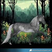 Horse Color:Silver Black Chinchilla