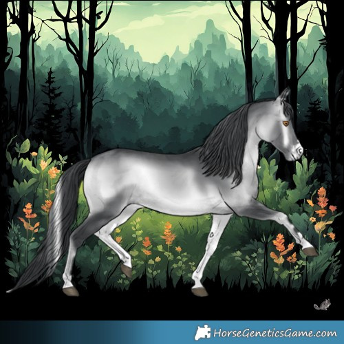 Horse Color:Brown Chinchilla Onyx 