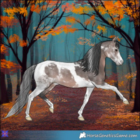 Horse Color:Platinum Brown Tobiano 