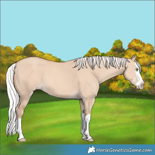 Horse Color:Silver Classic Champagne Dun Splash