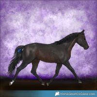 Horse Color:Brown 