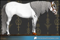 Horse Color:Black Sabino Appaloosa