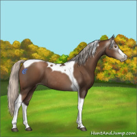 Horse Color:Gray Silver Black Pearl Tobiano 