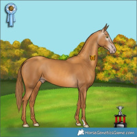 Horse Color:Gray Gold Champagne 