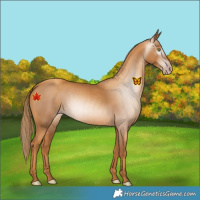 Horse Color:Gray Gold Champagne 
