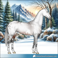 Horse Color:Gray White Spotted Liver Chestnut Appaloosa 