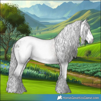 Horse Color:Gray White Spotted Liver Chestnut Appaloosa 