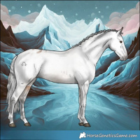 Horse Color:Gray White Spotted Liver Red Dun Tobiano Varnish Rabicano 