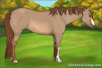 Horse Color:Red Dun 