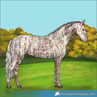 Horse Color:Silver Black  and Silver Sable Cream Champagne Pearl 
