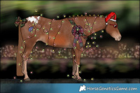 Horse Color:Chestnut Blanket 