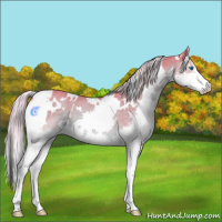 Horse Color:Watercolor White Spotted Chocolate Palomino Splash 