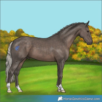 Horse Color:Silver Black 
