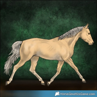 Horse Color:Palomino Rabicano