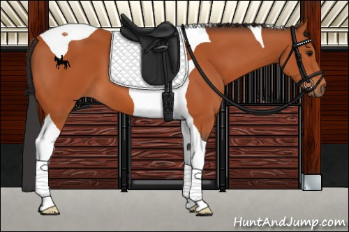 Horse Color:Bay Tobiano