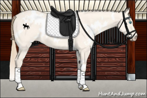 Horse Color:White Spotted Perlino Dun