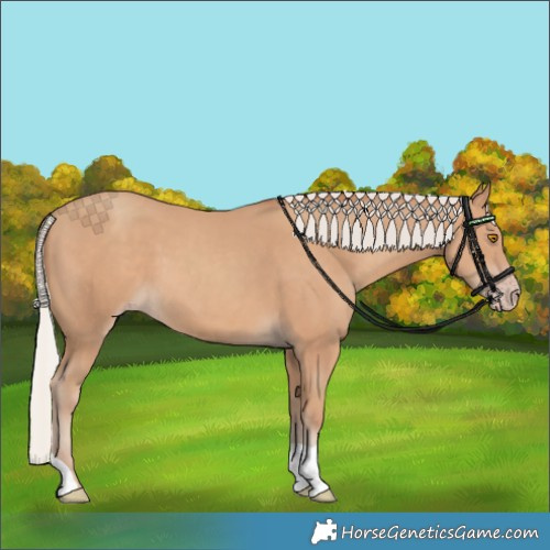 Horse Color:Silver Classic Champagne