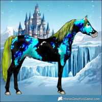 Horse Color:Painted White Spotted Buckskin Ice Dun Tobiano Rabicano 
