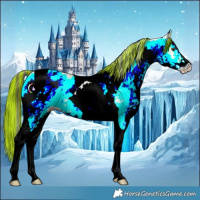 Horse Color:Painted White Spotted Buckskin Ice Dun Tobiano Rabicano