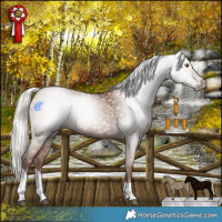 Horse Color:Gray Silver Black Pearl Tobiano