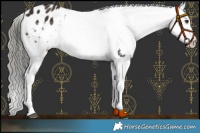 Horse Color:Liver Chestnut Mushroom Snowflake Varnish
