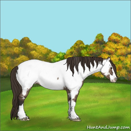 Horse Color:Liver Red Dun Sabino Appaloosa Rabicano 
