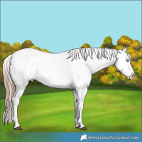 Horse Color:Liver Red Roan Sabino Splash Varnish  and Liver Red Roan Sabino Splash Varnish 