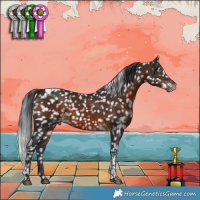 Horse Color:Brown Tobiano Appaloosa 