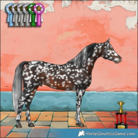 Horse Color:Brown Tobiano Snowflake Varnish