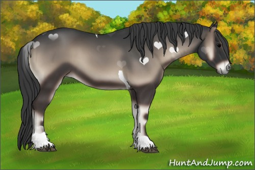 Horse Color:Blue Onyx Tobiano 
