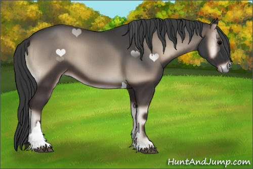 Horse Color:Blue Onyx Tobiano 