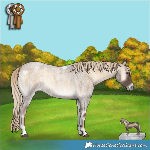 Horse Color:Chocolate Palomino Roan Onyx 