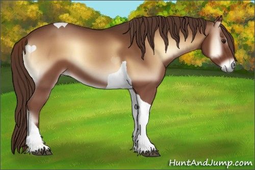 Horse Color:Red Onyx Tobiano 