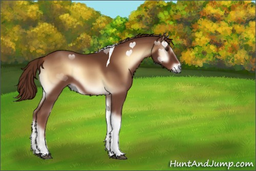 Horse Color:Red Onyx Tobiano 