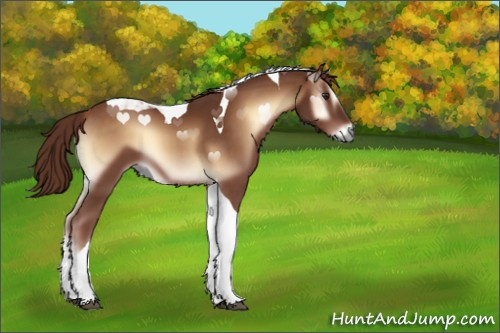 Horse Color:Red Onyx Tobiano 