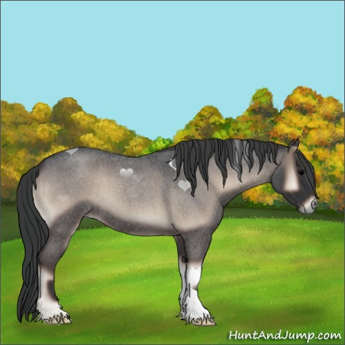 Horse Color:Blue Onyx Roan 