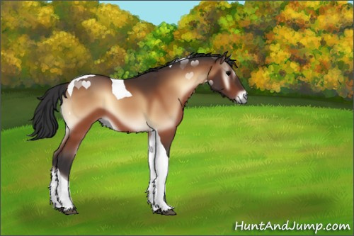 Horse Color:Bay Onyx Tobiano 