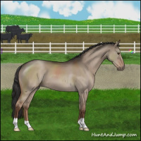 Horse Color:Liver Red Dun 