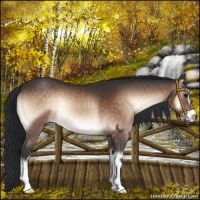 Horse Color:Bay Onyx Mushroom Sabino