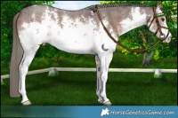 Horse Color:White Spotted Liver Chestnut Mushroom Sabino 