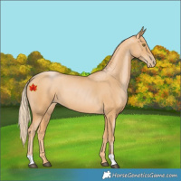 Horse Color:Chestnut Pearl 