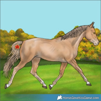 Horse Color:Chestnut Pearl 